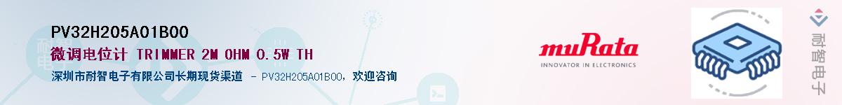 PV32H205A01B00Ӧ-ǵ