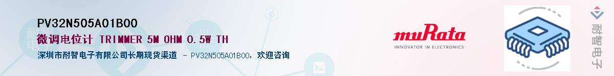 PV32N505A01B00��Ӧ��-���ǵ���