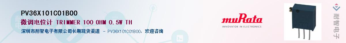 PV36X101C01B00Ӧ-ǵ