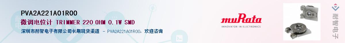 PVA2A221A01R00��Ӧ��-���ǵ���