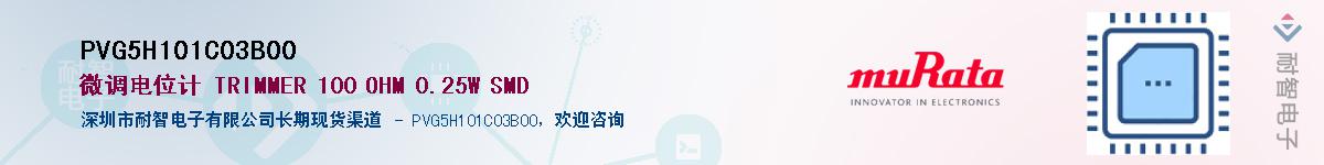 PVG5H101C03B00Ӧ-ǵ