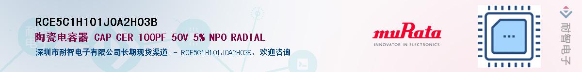 RCE5C1H101J0A2H03BӦ-ǵ