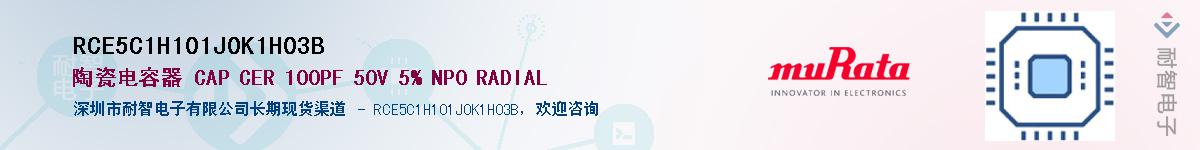 RCE5C1H101J0K1H03BӦ-ǵ