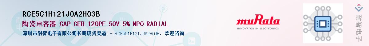 RCE5C1H121J0A2H03B��Ӧ��-���ǵ���