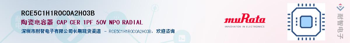 RCE5C1H1R0C0A2H03BӦ-ǵ