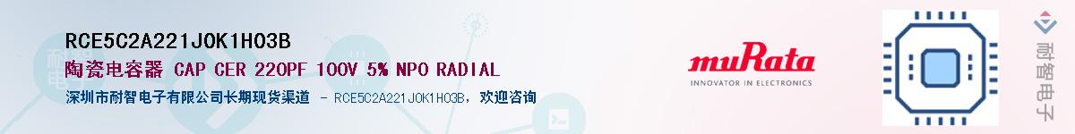 RCE5C2A221J0K1H03BӦ-ǵ