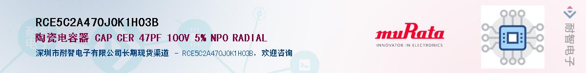 RCE5C2A470J0K1H03B��Ӧ��-���ǵ���