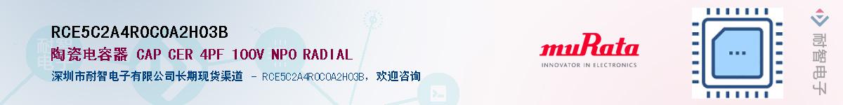 RCE5C2A4R0C0A2H03B��Ӧ��-���ǵ���