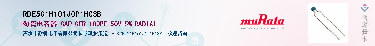 RDE5C1H101J0P1H03BӦ-ǵ