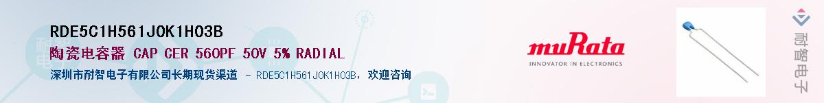 RDE5C1H561J0K1H03B��Ӧ��-���ǵ���