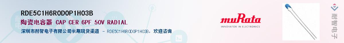 RDE5C1H6R0D0P1H03B��Ӧ��-���ǵ���
