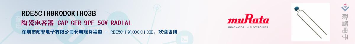 RDE5C1H9R0D0K1H03B��Ӧ��-���ǵ���