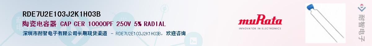 RDE7U2E103J2K1H03BӦ-ǵ