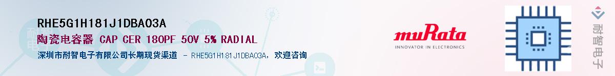 RHE5G1H181J1DBA03AӦ-ǵ