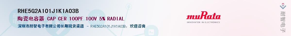 RHE5G2A101J1K1A03BӦ-ǵ