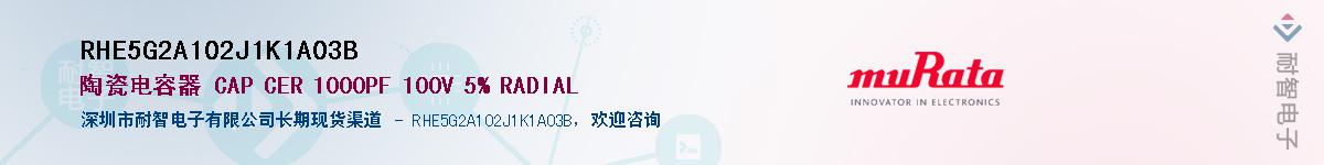 RHE5G2A102J1K1A03BӦ-ǵ