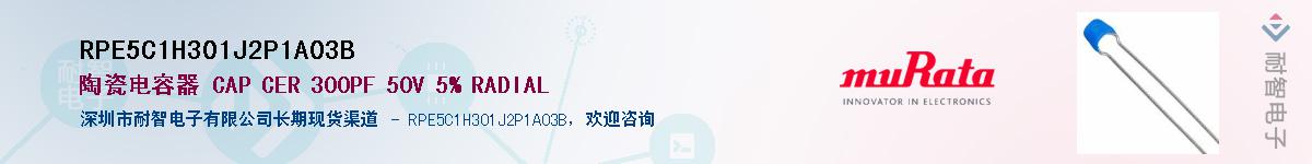 RPE5C1H301J2P1A03B��Ӧ��-���ǵ���