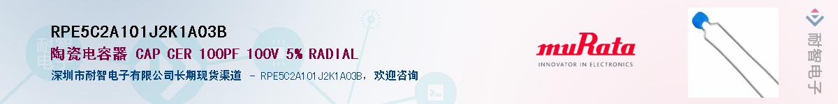 RPE5C2A101J2K1A03BӦ-ǵ