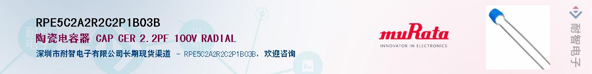 RPE5C2A2R2C2P1B03BӦ-ǵ