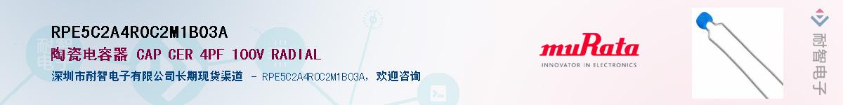 RPE5C2A4R0C2M1B03AӦ-ǵ