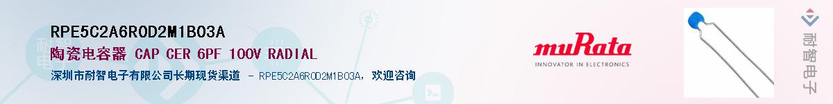 RPE5C2A6R0D2M1B03A��Ӧ��-���ǵ���