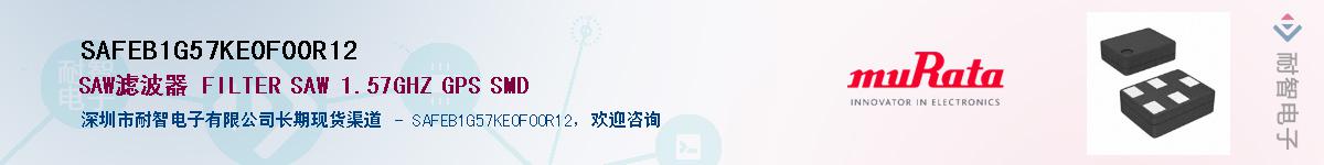 SAFEB1G57KE0F00R12供应商-耐智电子
