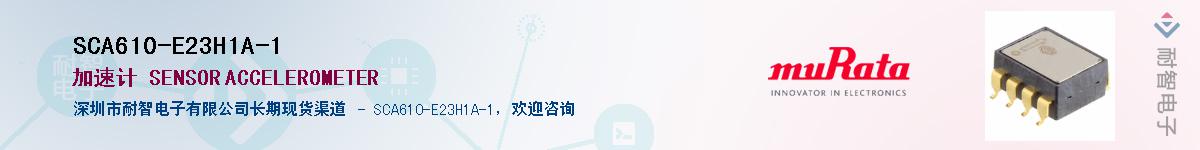 SCA610-E23H1A-1Ӧ-ǵ