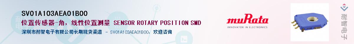 SV01A103AEA01B00Ӧ-ǵ