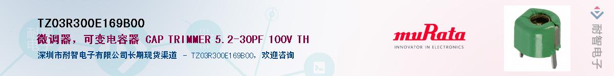 TZ03R300E169B00��Ӧ��-���ǵ���
