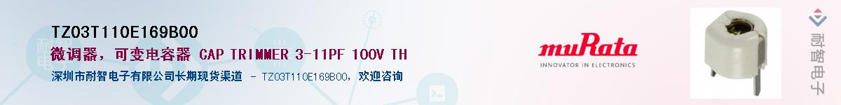TZ03T110E169B00Ӧ-ǵ