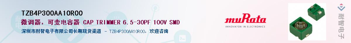 TZB4P300AA10R00��Ӧ��-���ǵ���