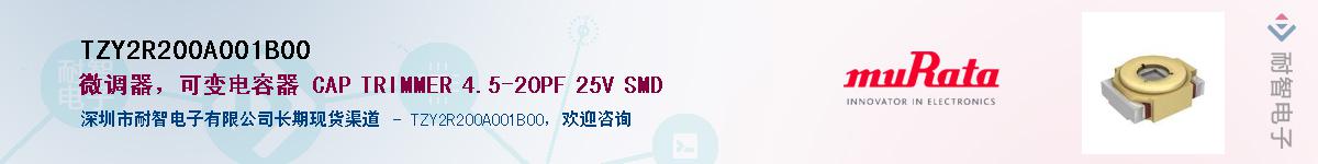 TZY2R200A001B00��Ӧ��-���ǵ���