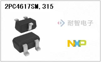 2PC4617SM,315
