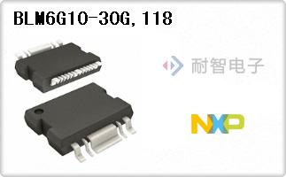 BLM6G10-30G,118