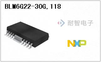 BLM6G22-30G,118