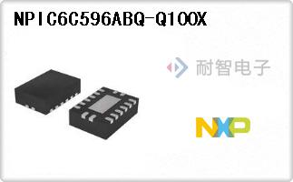 NPIC6C596ABQ-Q100X