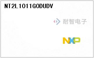 NT2L1011G0DUDV