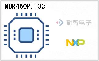 NUR460P,133