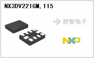 NX3DV221GM,115