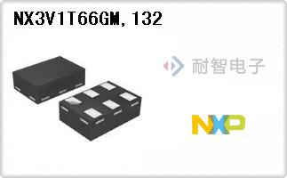 NX3V1T66GM,132