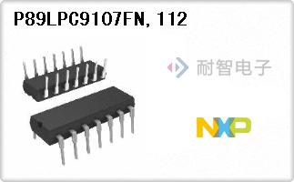 P89LPC9107FN,112