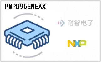 PMPB95ENEAX