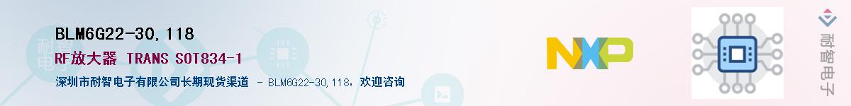 BLM6G22-30,118Ӧ-ǵ