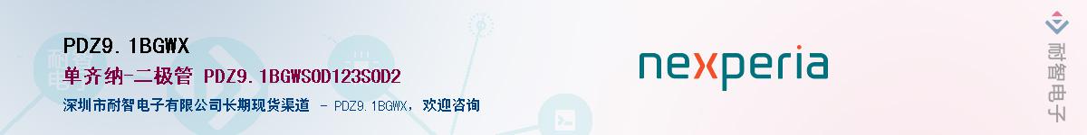 PDZ9.1BGWXӦ-ǵ