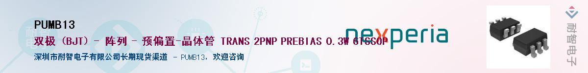 PUMB13Ӧ-ǵ