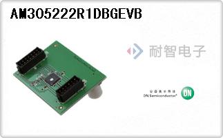 AM305222R1DBGEVB