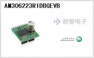 AM306223R1DBGEVB