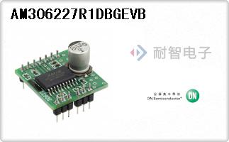 AM306227R1DBGEVB