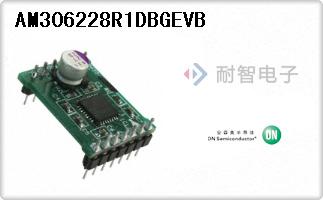 AM306228R1DBGEVB