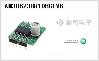 AM306238R1DBGEVB